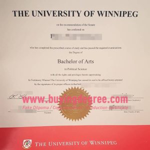 Fake University of Winnipeg degree