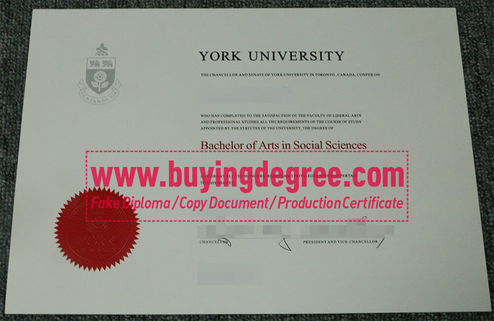 York University degree