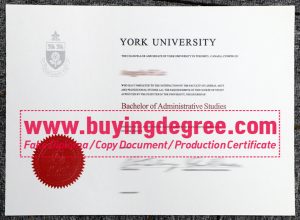 buy a fake York University degree