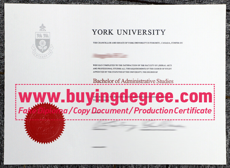 buy a fake York University degree