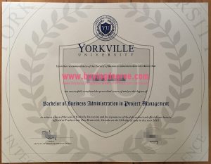 Yorkville University degree