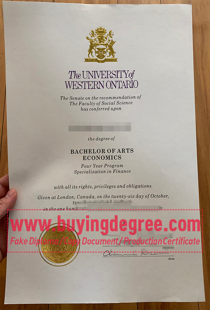 University of Westminster degree 