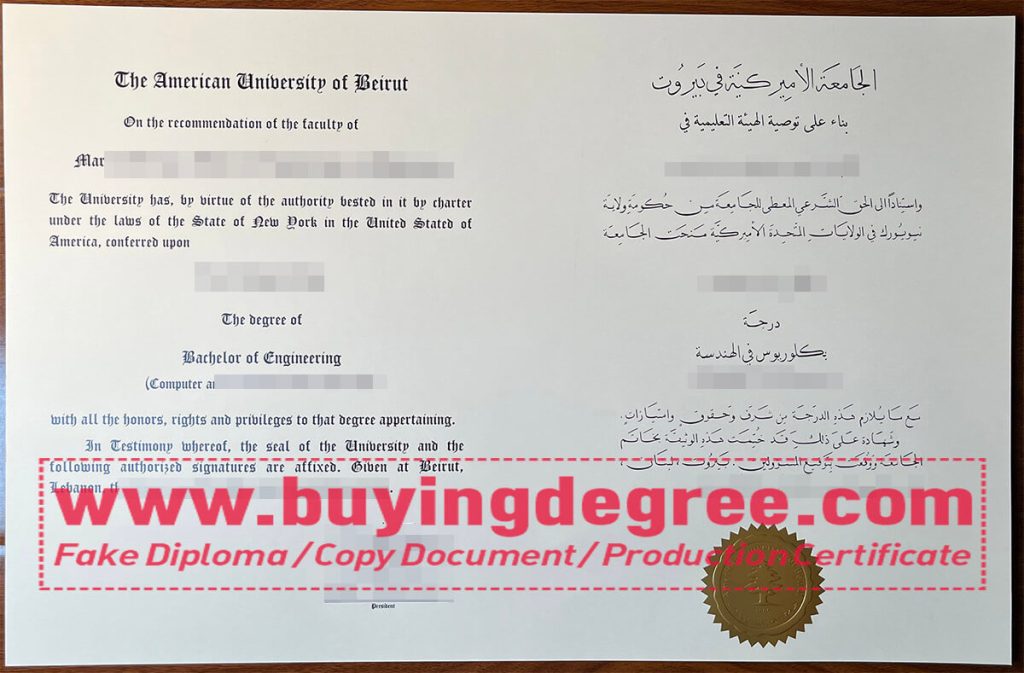 American University of Beirut degree