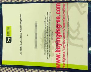 Box Hill Institute diploma certificate