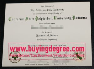 Cal Poly Pomona degree