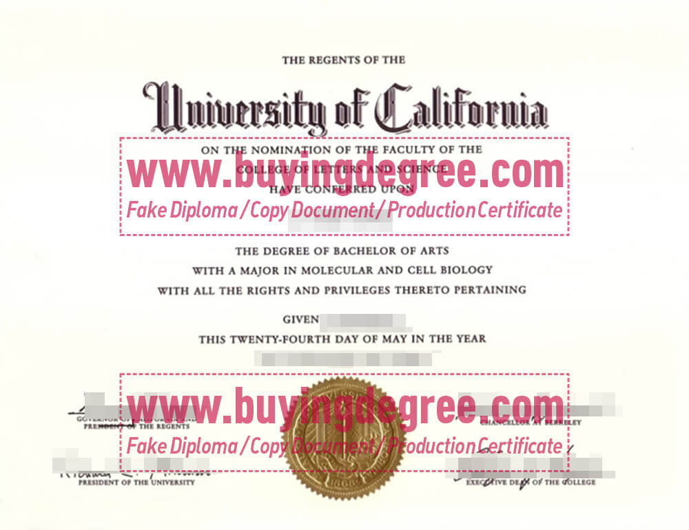 Buying a Bachelor's Degree