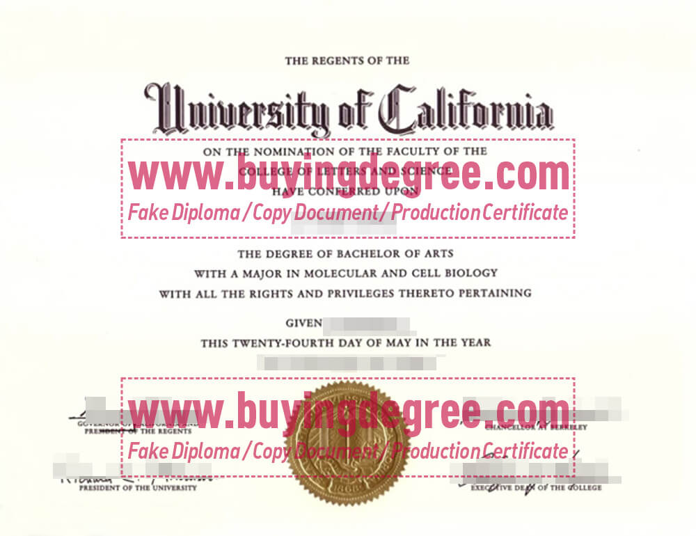 Bachelor's Degree