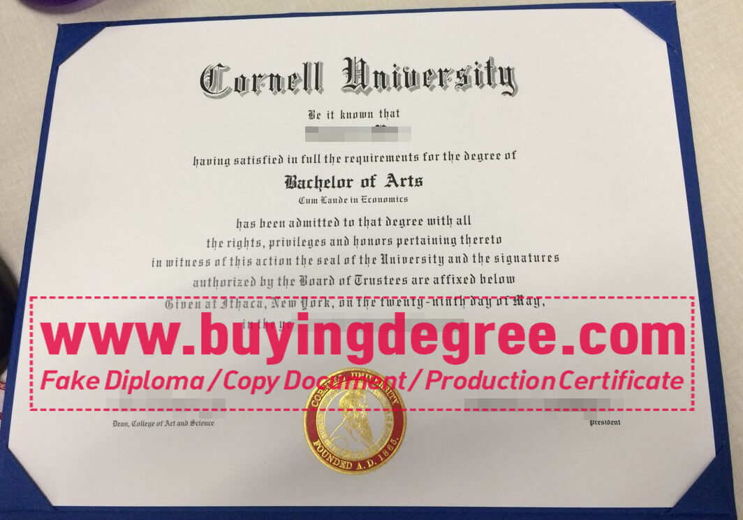 Cornell University degree