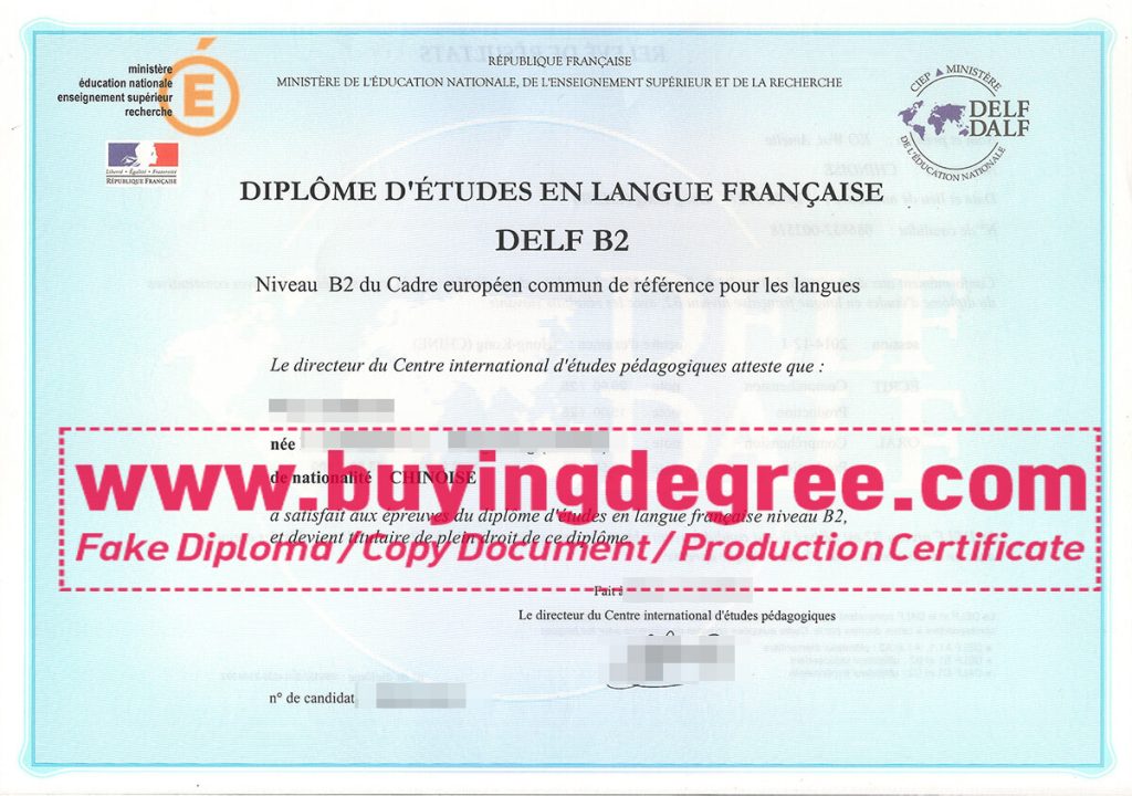 FRENCH DELF B2 diploma and transcript? 