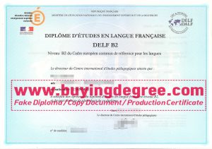 FRENCH DELF B2 diploma and transcript