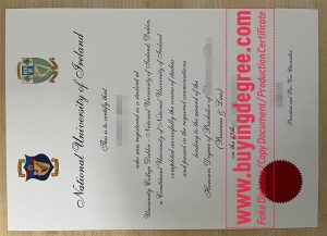 National University of Ireland diploma, NUI degree