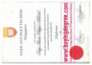Ngee Ann Polytechnic degree certificate