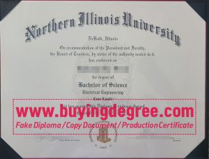 Northern Illinois University diploma online