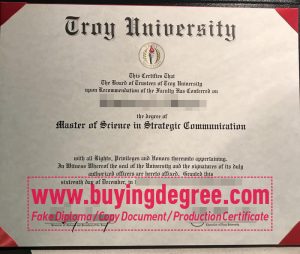 Troy University degree online?