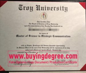 Troy University degree online?