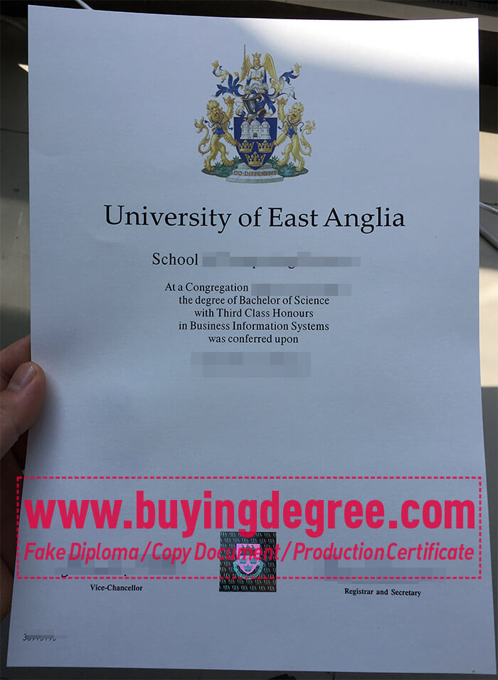 University of East Anglia diploma