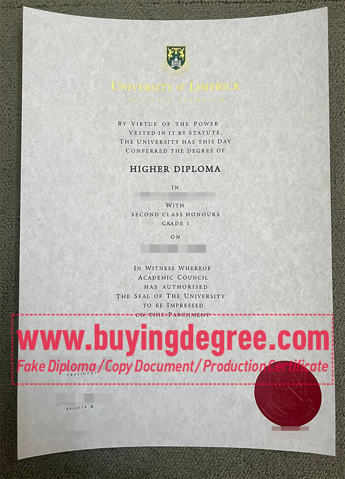 University of Limerick Degree