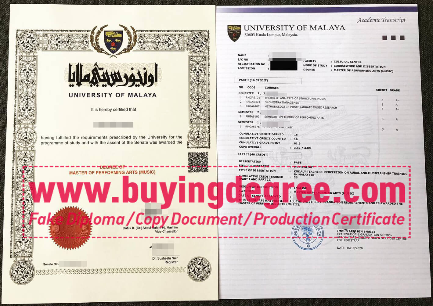 University of Malaya Degree