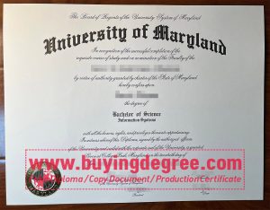 UMD Degree