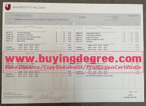 University of Nicosia degree
