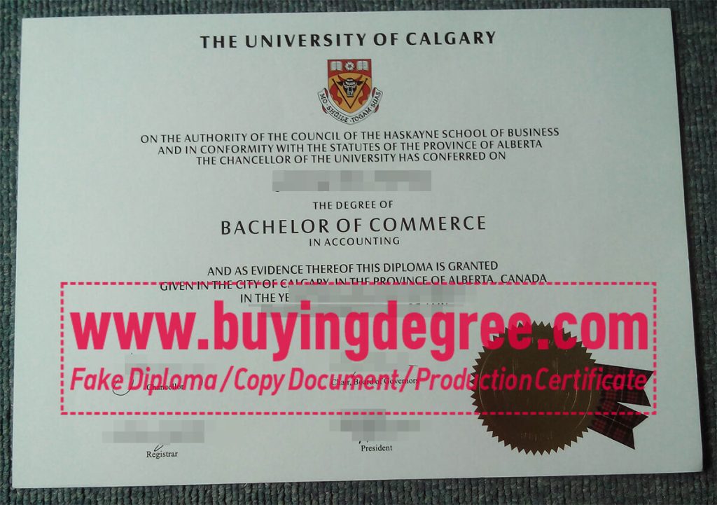 University of Sheffield degree certificate