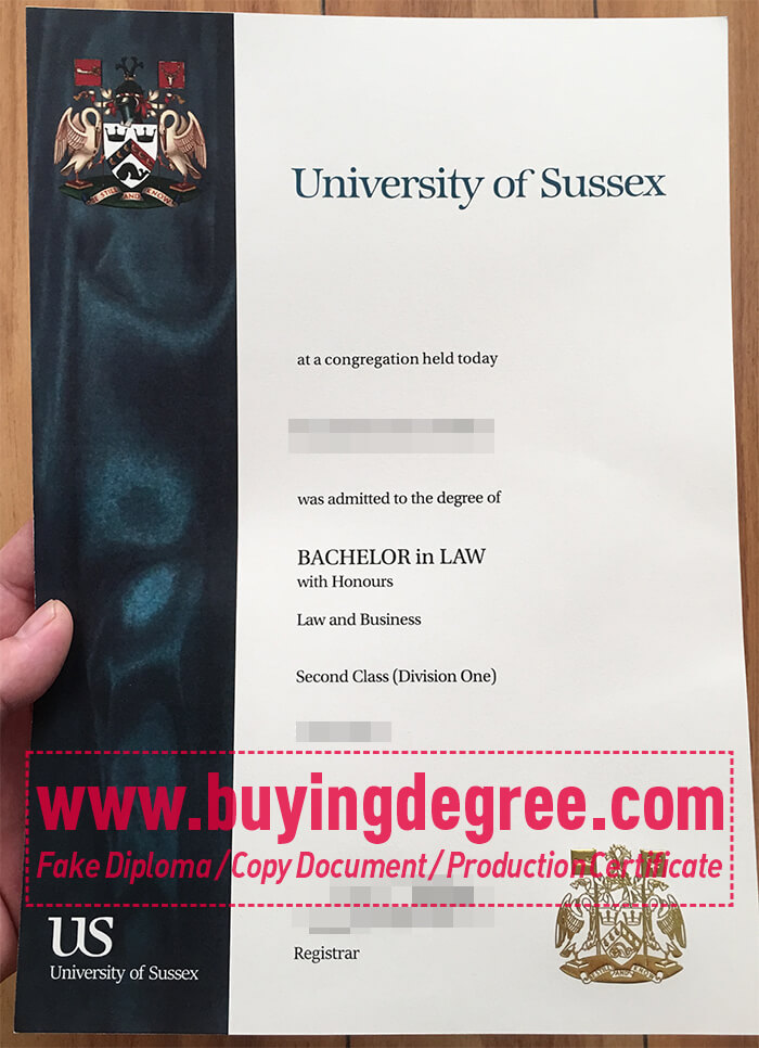 University of Sussex degree