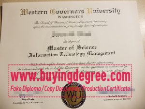 WGU degree