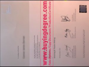 Buy a fake Arts University Bournemouth degree