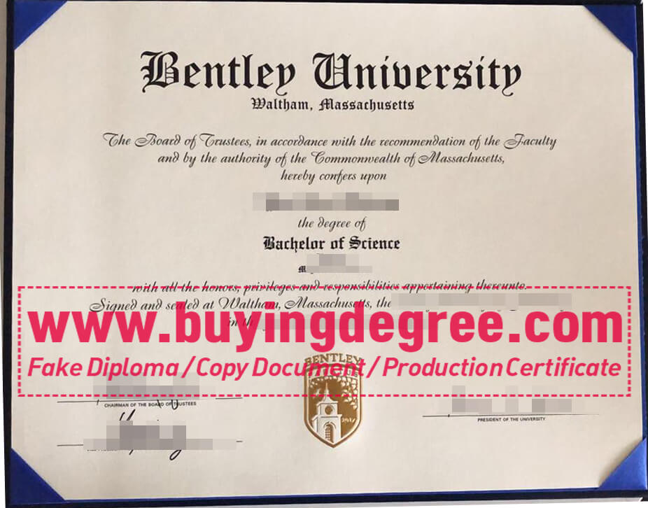 Bentley University degree