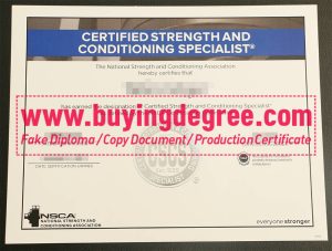Certified Strength and Conditioning Specialist certificate, CSCS diploma