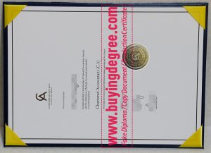 Chartered Accountants Australia and New Zealand certificate