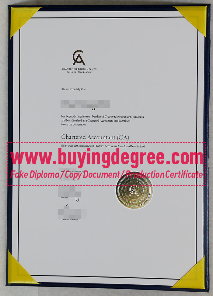 Chartered Accountants Australia and New Zealand certificate