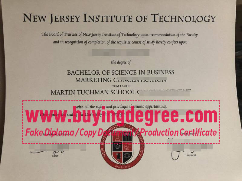 New Jersey Institute of Technology degree