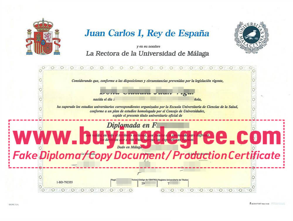 University of Málaga degree