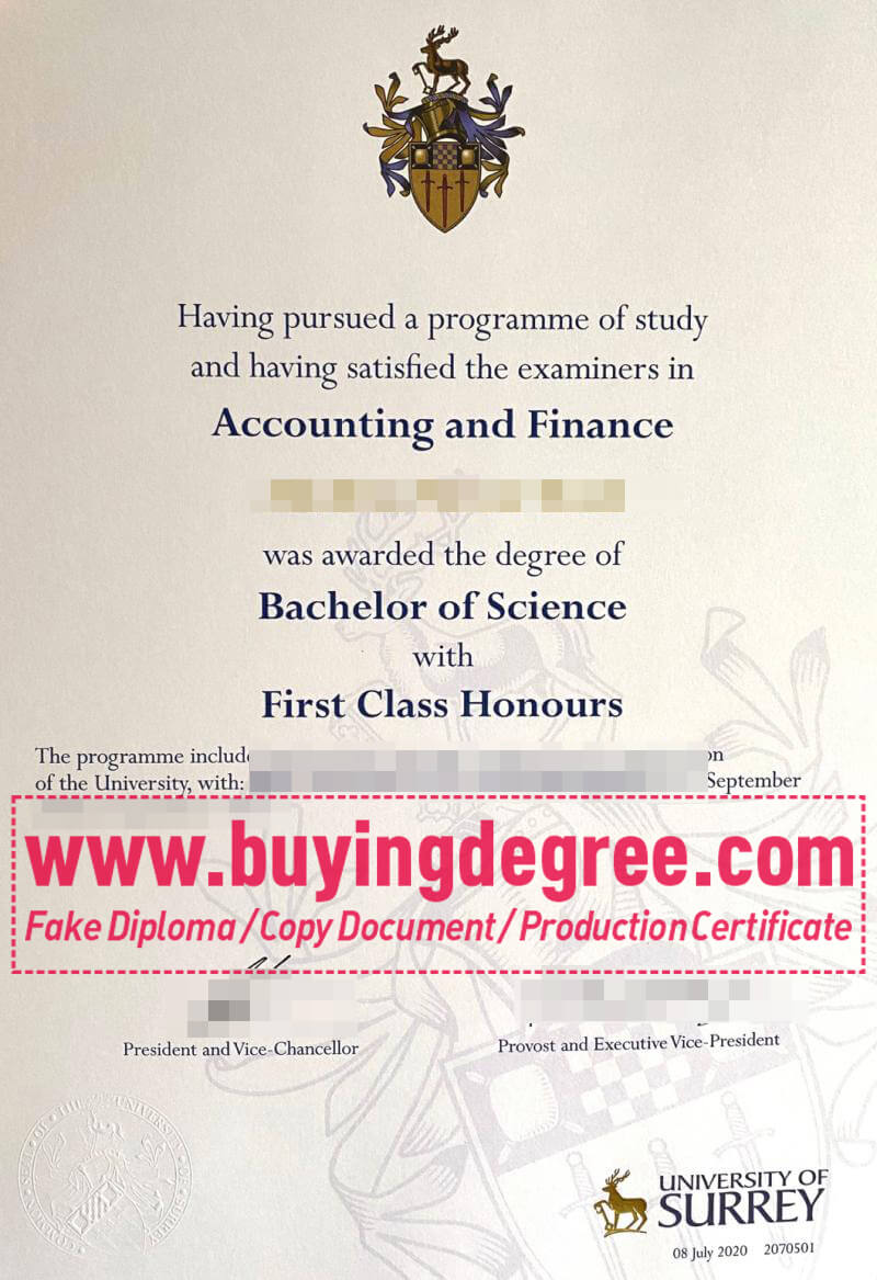 University of Padua Degree certificate