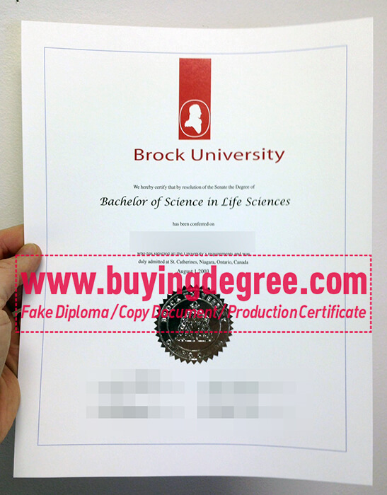 Brock University degree