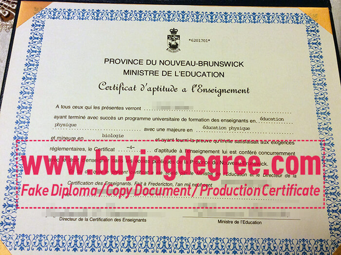 Certificat d'aptitude à l'enseignement from province du nouveau-brunswick
