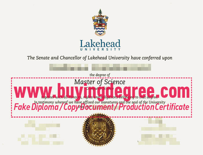 Lakehead University degree
