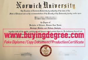 Norwich University degree