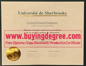 Université de Sherbrooke degree