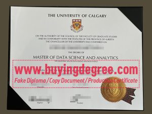 University of Calgary degree