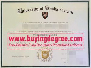 University of Saskatchewan degree