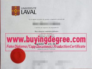 Université Laval degree