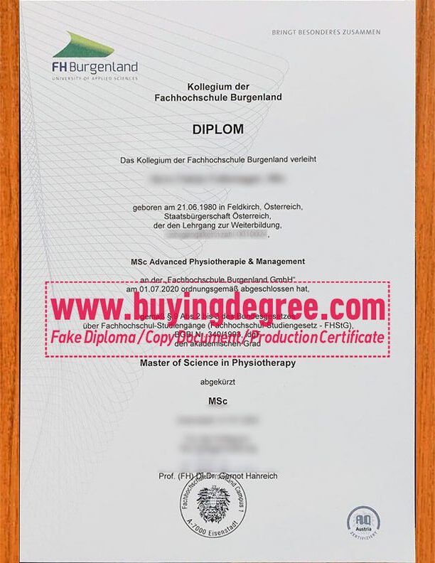 Buy a fake FH Burgenland University degree. If old files are lost