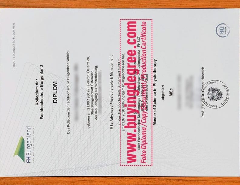 Buy a fake FH Burgenland University degree. If old files are lost