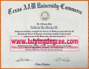The Best Buy Texas A&M University Fake Diploma?