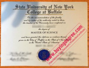 Order a fake University at Buffalo (UB) diploma online