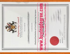 Engineering Council certificate