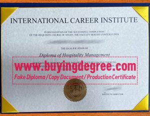 Get an International Career Institute diploma, all you need to know
