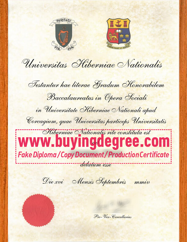 fake Universitas Hiberniae Nationalis degree?